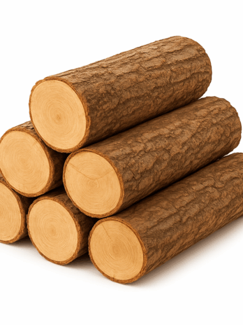 Bûches de charme – bois de chauffage 40CM